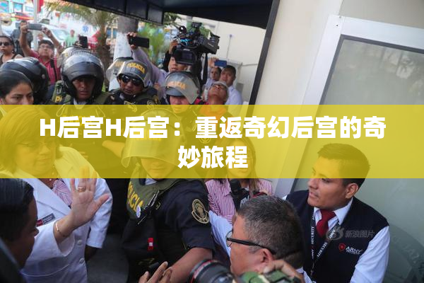 H后宫H后宫：重返奇幻后宫的奇妙旅程