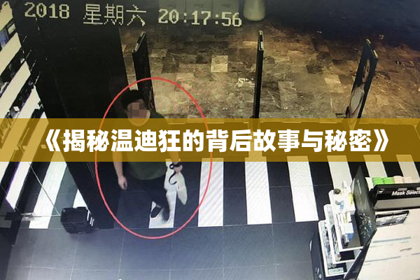 《揭秘温迪狂的背后故事与秘密》