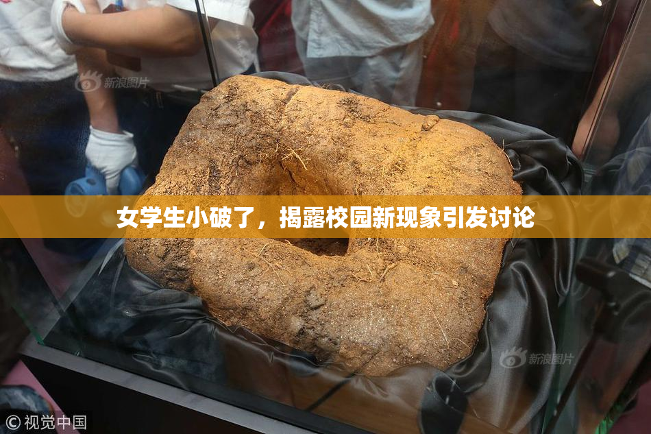 女学生小破了，揭露校园新现象引发讨论