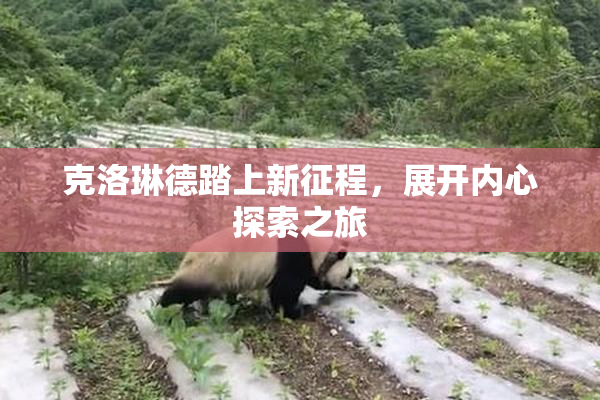 克洛琳德踏上新征程，展开内心探索之旅
