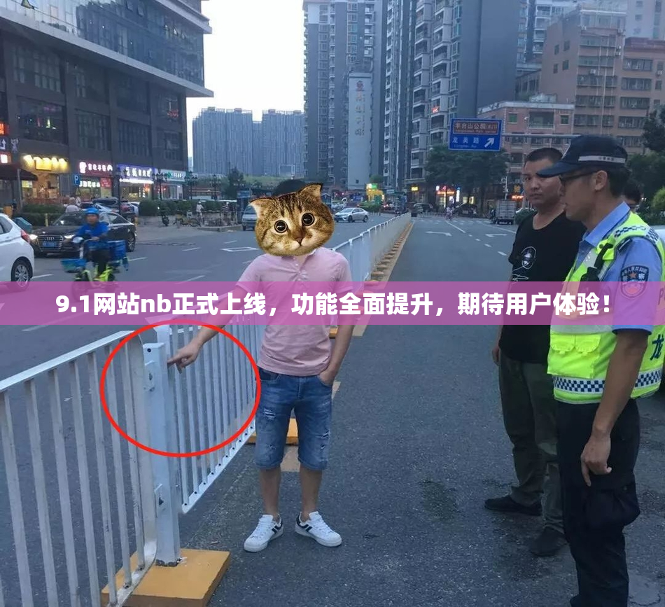 9.1网站nb正式上线，功能全面提升，期待用户体验！