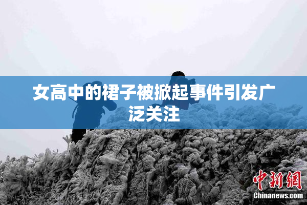 女高中的裙子被掀起事件引发广泛关注