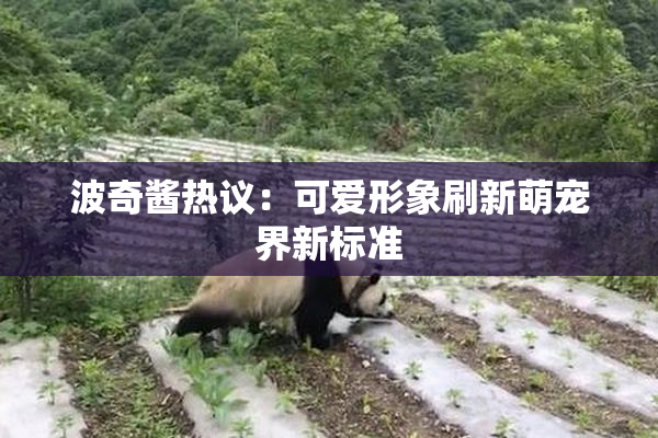 波奇酱热议：可爱形象刷新萌宠界新标准