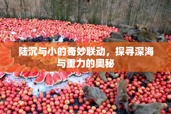 陆沉与小的奇妙联动，探寻深海与重力的奥秘