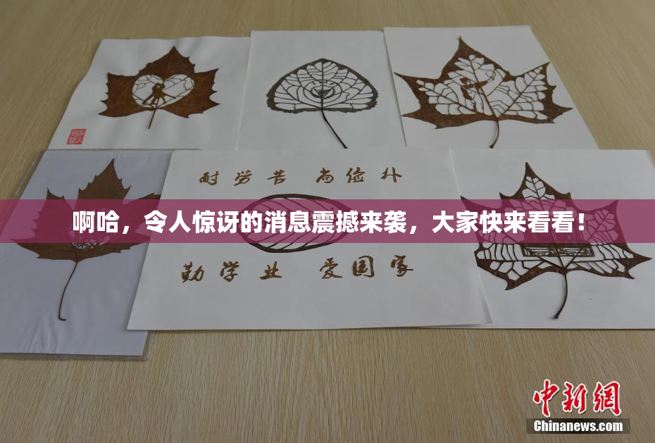 啊哈，令人惊讶的消息震撼来袭，大家快来看看！