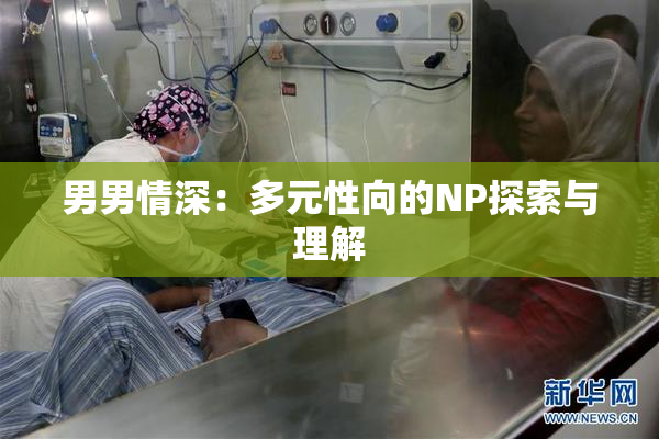 男男情深：多元性向的NP探索与理解