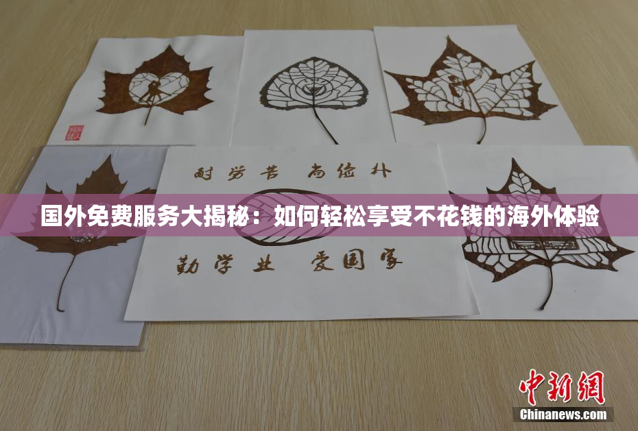 国外免费服务大揭秘：如何轻松享受不花钱的海外体验