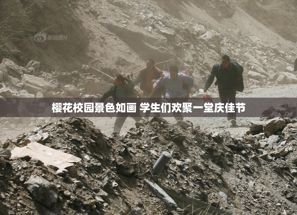 樱花校园景色如画 学生们欢聚一堂庆佳节