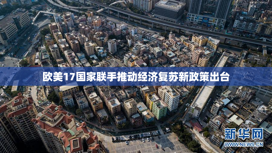 欧美17国家联手推动经济复苏新政策出台