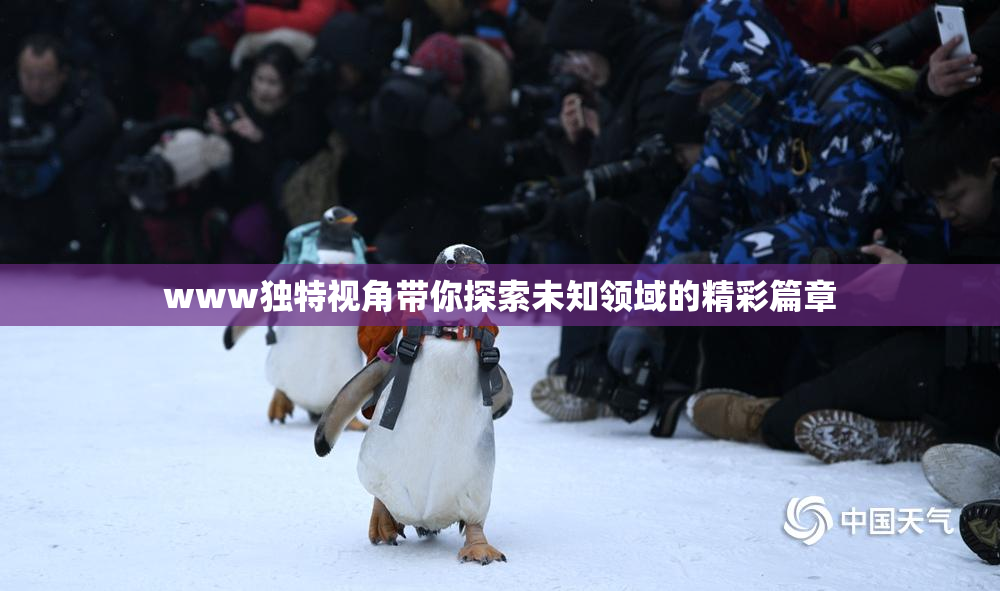 www独特视角带你探索未知领域的精彩篇章