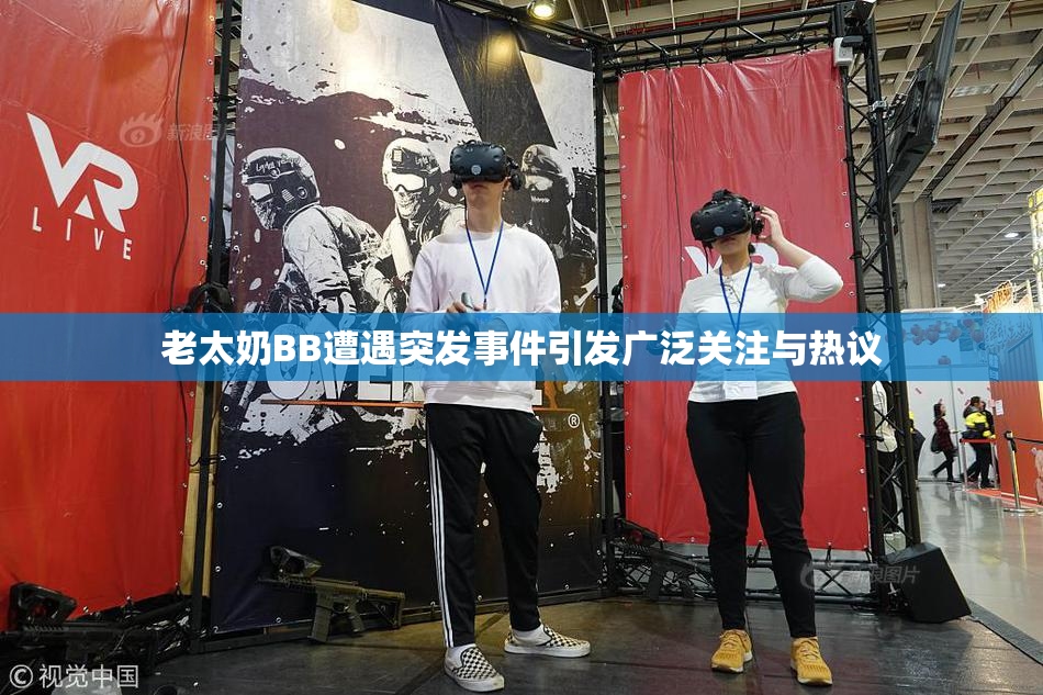 老太奶BB遭遇突发事件引发广泛关注与热议
