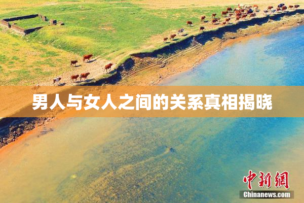 男人与女人之间的关系真相揭晓