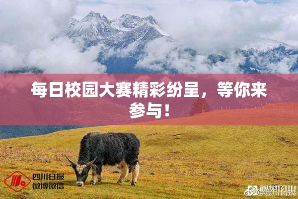每日校园大赛精彩纷呈，等你来参与！