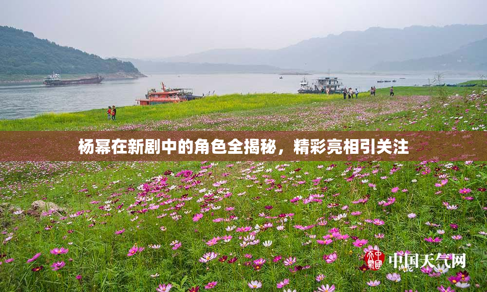 杨幂在新剧中的角色全揭秘，精彩亮相引关注