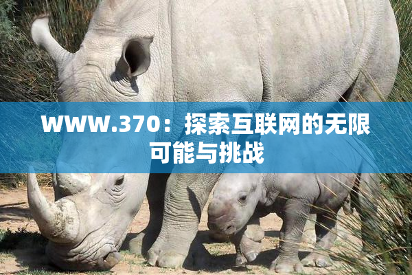 WWW.370：探索互联网的无限可能与挑战