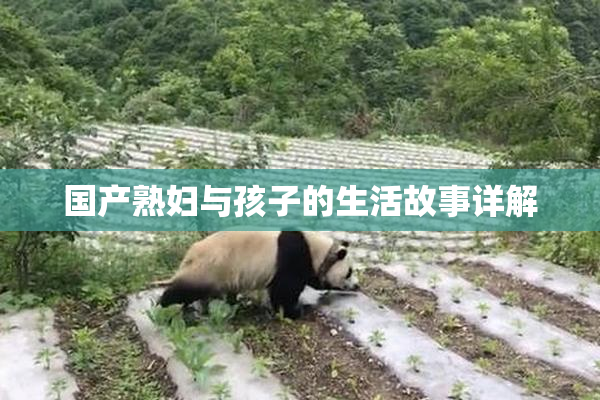 国产熟妇与孩子的生活故事详解