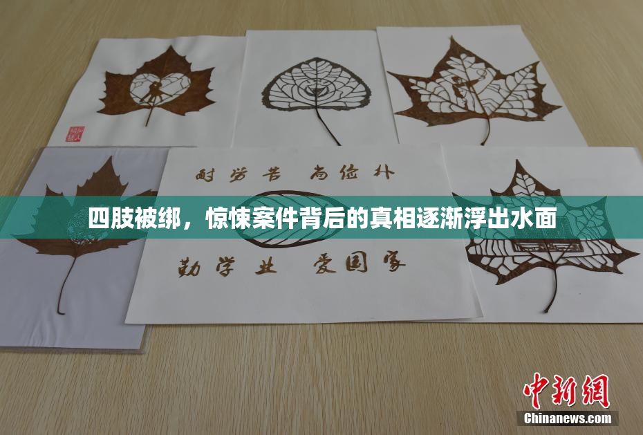 四肢被绑，惊悚案件背后的真相逐渐浮出水面