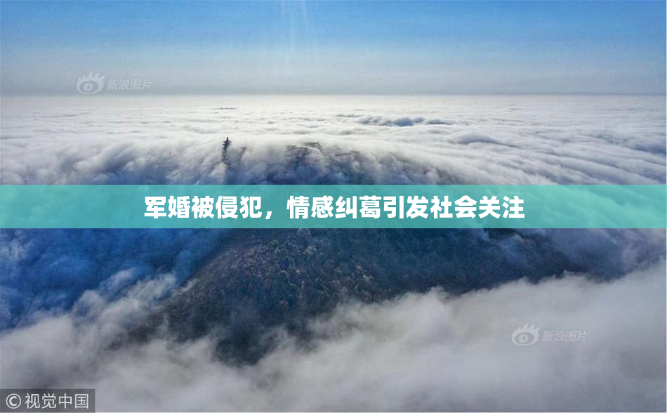 军婚被侵犯，情感纠葛引发社会关注