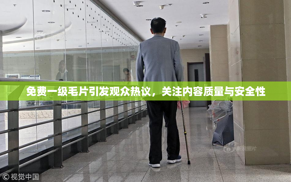 免费一级毛片引发观众热议，关注内容质量与安全性