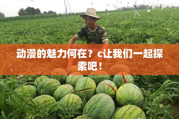 动漫的魅力何在？c让我们一起探索吧！