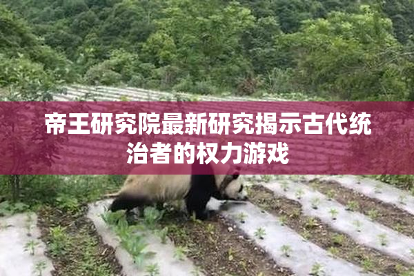 帝王研究院最新研究揭示古代统治者的权力游戏