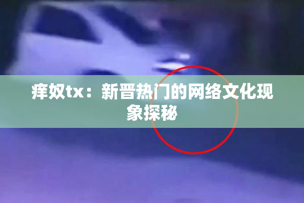 痒奴tx：新晋热门的网络文化现象探秘