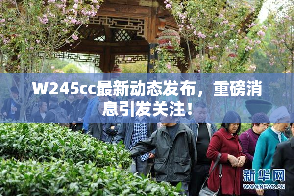 W245cc最新动态发布，重磅消息引发关注！