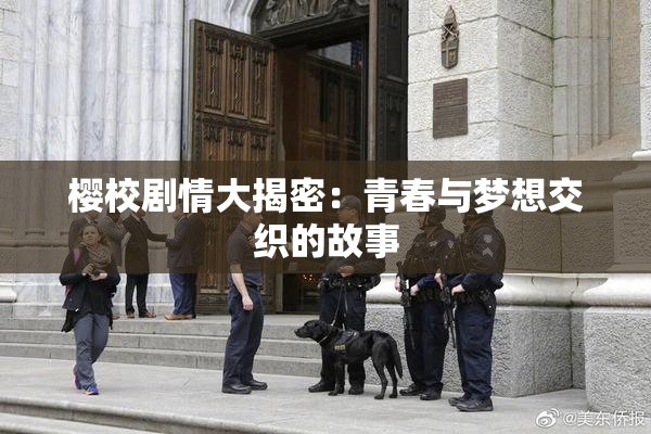 樱校剧情大揭密：青春与梦想交织的故事