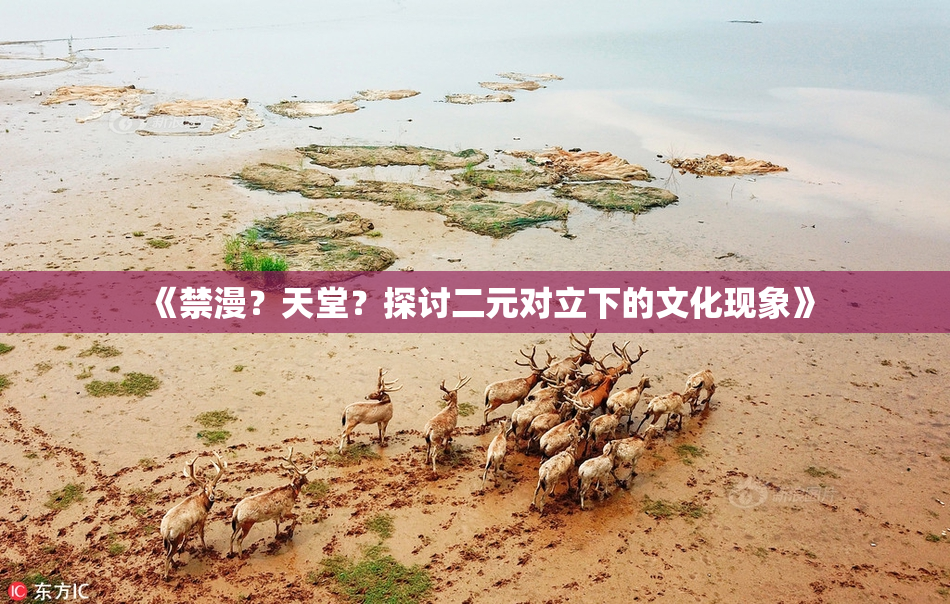 《禁漫？天堂？探讨二元对立下的文化现象》