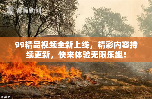 99精品视频全新上线，精彩内容持续更新，快来体验无限乐趣！