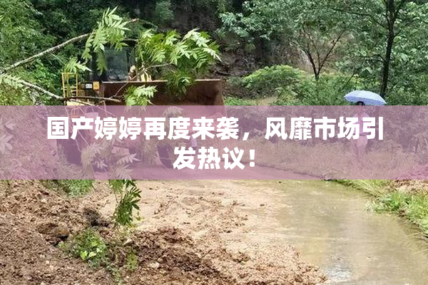 国产婷婷再度来袭，风靡市场引发热议！