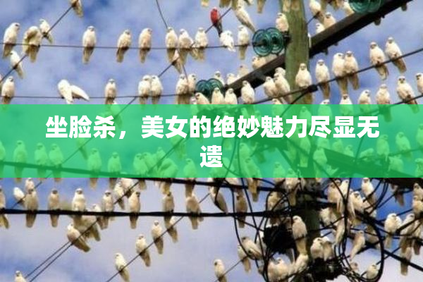 坐脸杀，美女的绝妙魅力尽显无遗