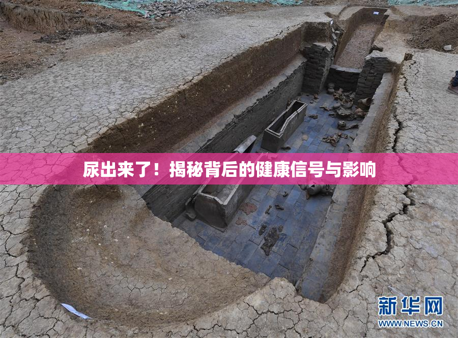 尿出来了！揭秘背后的健康信号与影响