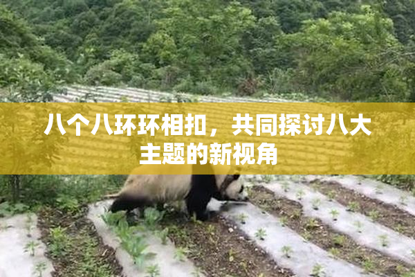 八个八环环相扣，共同探讨八大主题的新视角