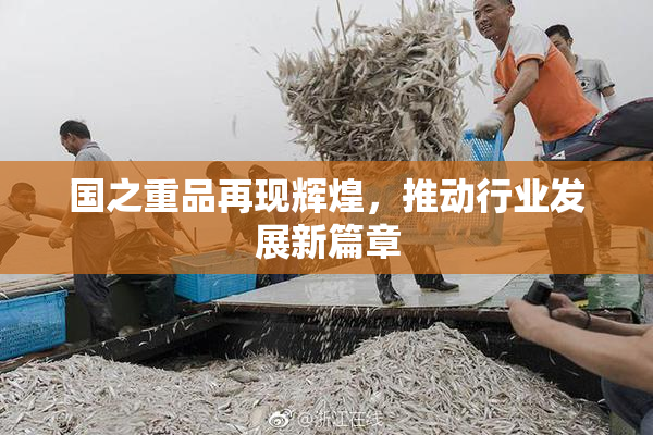 国之重品再现辉煌，推动行业发展新篇章