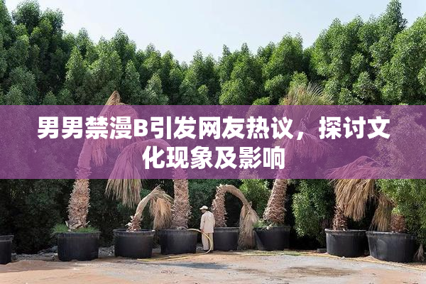 男男禁漫B引发网友热议，探讨文化现象及影响