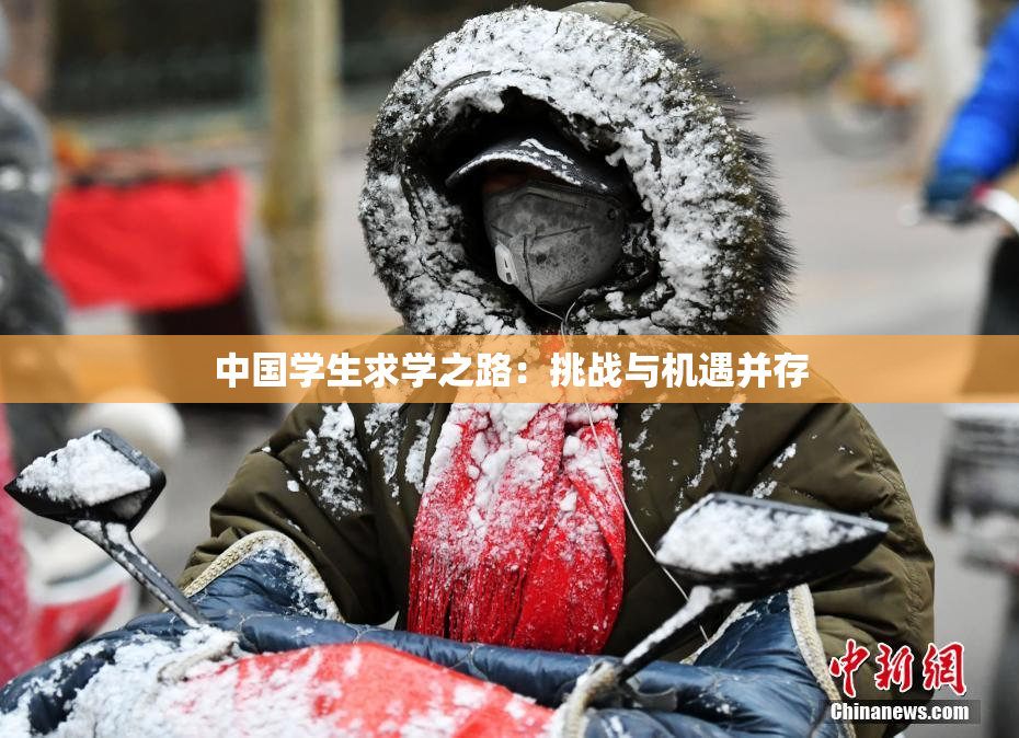 中国学生求学之路：挑战与机遇并存