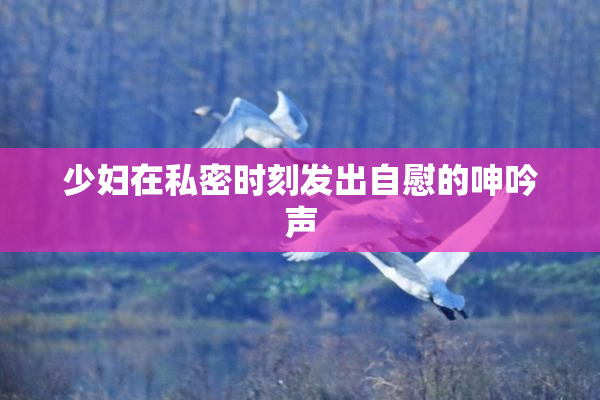 少妇在私密时刻发出自慰的呻吟声