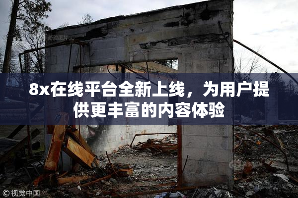 8x在线平台全新上线，为用户提供更丰富的内容体验