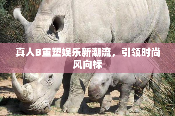 真人B重塑娱乐新潮流，引领时尚风向标