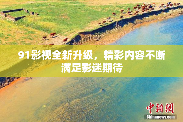 91影视全新升级，精彩内容不断满足影迷期待