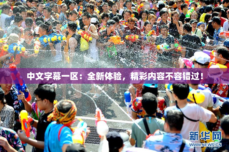 中文字幕一区：全新体验，精彩内容不容错过！