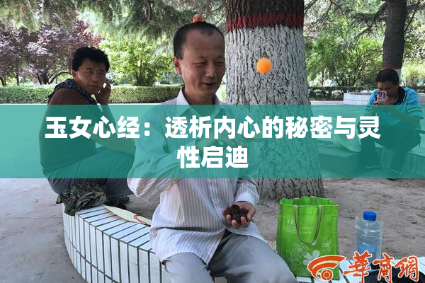 玉女心经：透析内心的秘密与灵性启迪
