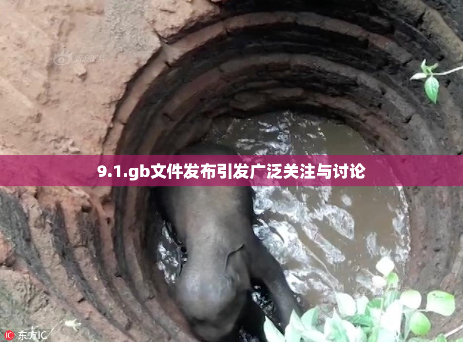 9.1.gb文件发布引发广泛关注与讨论