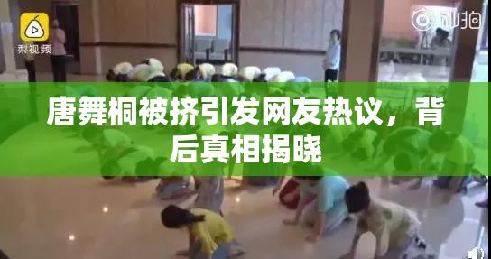 唐舞桐被挤引发网友热议，背后真相揭晓