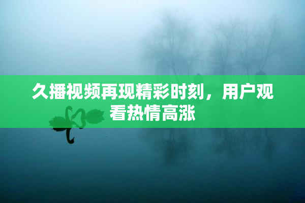 久播视频再现精彩时刻，用户观看热情高涨