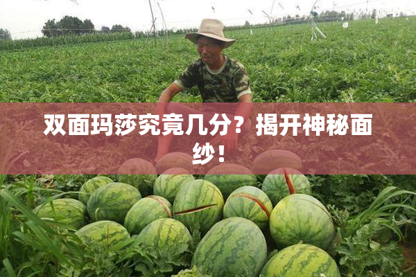 双面玛莎究竟几分？揭开神秘面纱！