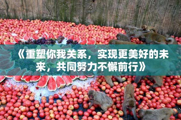 《重塑你我关系，实现更美好的未来，共同努力不懈前行》