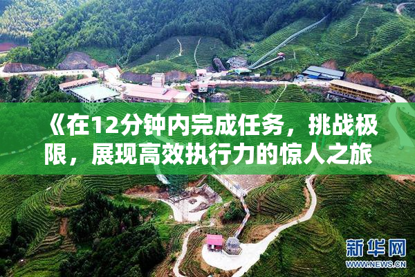 《在12分钟内完成任务，挑战极限，展现高效执行力的惊人之旅》