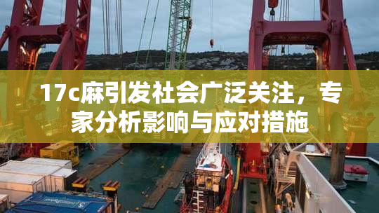 17c麻引发社会广泛关注，专家分析影响与应对措施